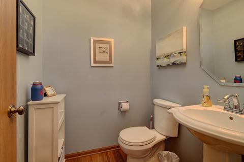 14061 S Mount Pleasant Ct, Plainfield, IL 60544 photo 12