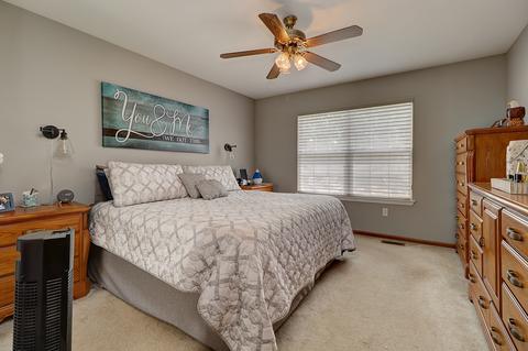 14061 S Mount Pleasant Ct, Plainfield, IL 60544 photo 13