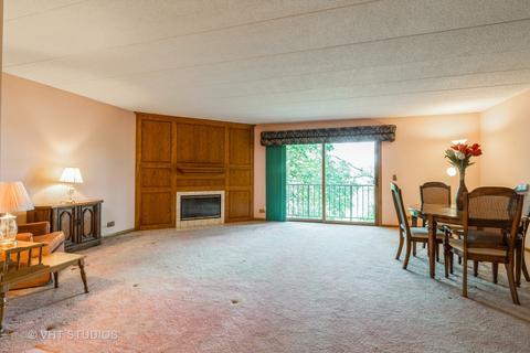 1591 E Thacker St #402, Des Plaines, IL 60016 photo 3