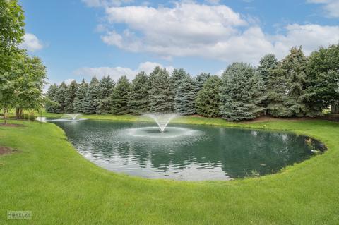 2607 Nicholas Ct, Plainfield, IL 60586 photo 32
