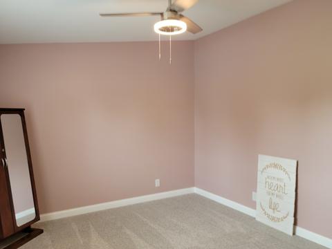 983 E North Rd, Ashkum, IL 60911 photo 11