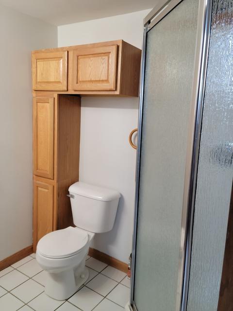 983 E North Rd, Ashkum, IL 60911 photo 19
