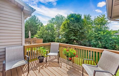 1305 Dancing Bear Ln, Elgin, IL 60120 photo 27