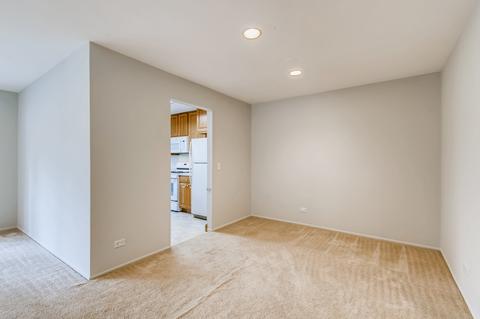 545 Greystone Ln #A1, Wheeling, IL 60090 photo 7
