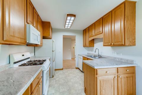 545 Greystone Ln #A1, Wheeling, IL 60090 photo 10