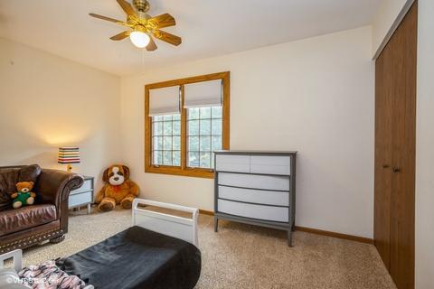331 S Hickory Ave, Bartlett, IL 60103 photo 17