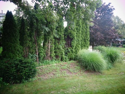 2001 Fallen Oak Rd, Bloomington, IL 61704 photo 35