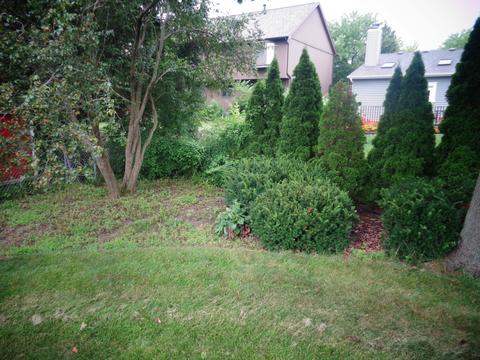 2001 Fallen Oak Rd, Bloomington, IL 61704 photo 34