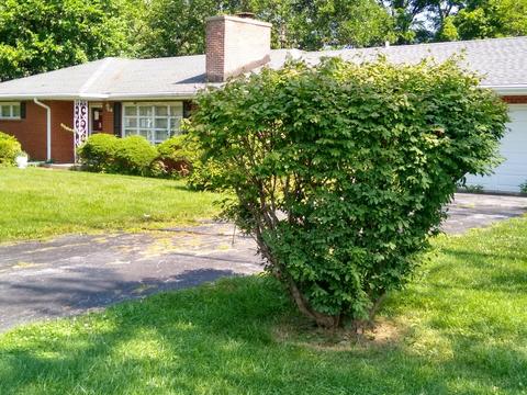 805 Exmoor Rd, Olympia Fields, IL 60461 photo 3