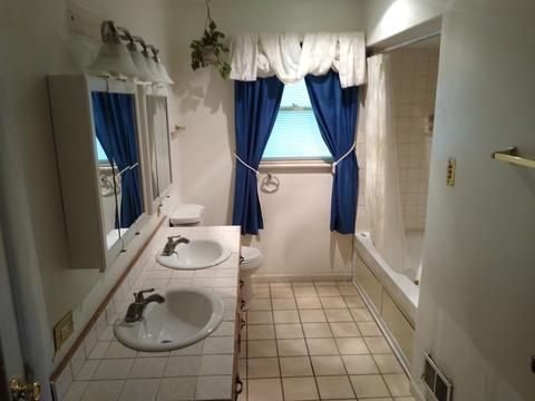 805 Exmoor Rd, Olympia Fields, IL 60461 photo 13