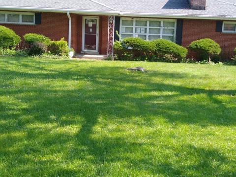 805 Exmoor Rd, Olympia Fields, IL 60461 photo 2