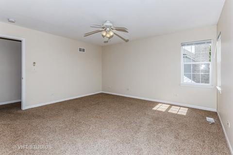 13617 Arborview Blvd, Plainfield, IL 60585 photo 11