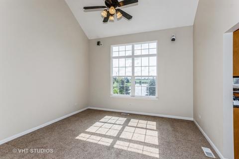 13617 Arborview Blvd, Plainfield, IL 60585 photo 7