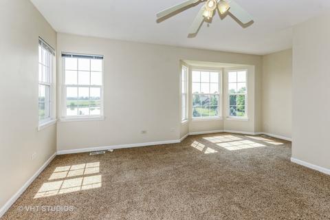 13617 Arborview Blvd, Plainfield, IL 60585 photo 10