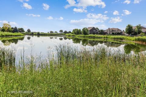 13617 Arborview Blvd, Plainfield, IL 60585 photo 20
