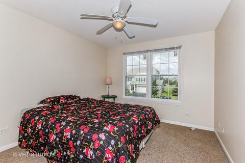 13617 Arborview Blvd, Plainfield, IL 60585 photo 14