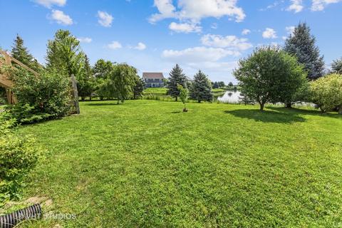 13617 Arborview Blvd, Plainfield, IL 60585 photo 19