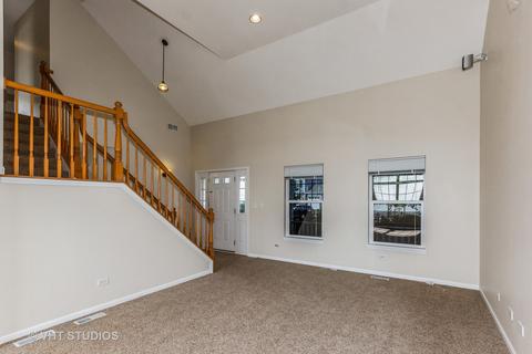 13617 Arborview Blvd, Plainfield, IL 60585 photo 2