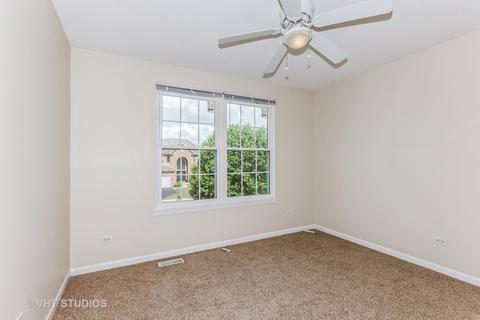 13617 Arborview Blvd, Plainfield, IL 60585 photo 15