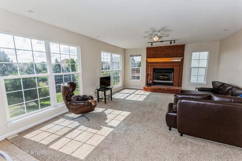 13617 Arborview Blvd, Plainfield, IL 60585 photo 8