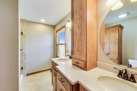 24962 Diana Ct, Plainfield, IL 60544 photo 11