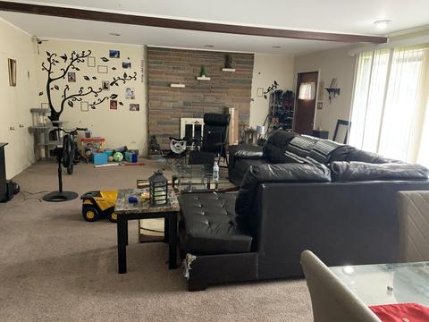 3528 Wallace Ave, Steger, IL 60475 photo 10