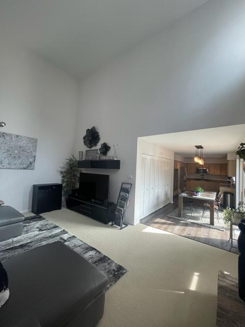 514 Philip Dr, Bartlett, IL 60103 photo 30