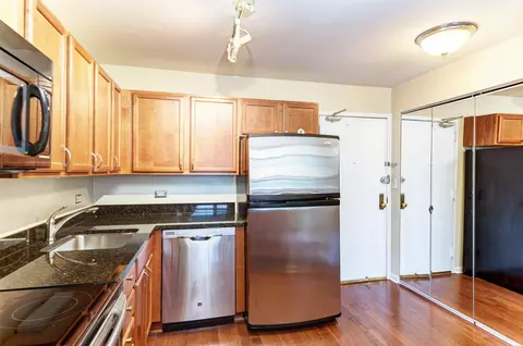 222 E Pearson St #2303, Chicago, IL 60611 photo 9