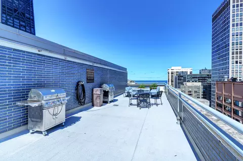 222 E Pearson St #2303, Chicago, IL 60611 photo 19
