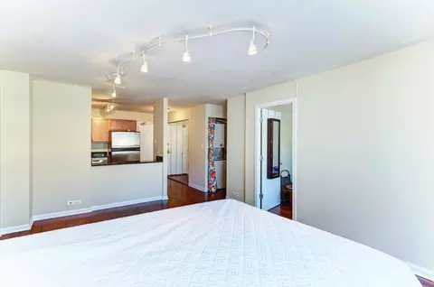 222 E Pearson St #2303, Chicago, IL 60611 photo 4