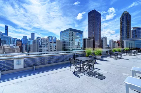 222 E Pearson St #2303, Chicago, IL 60611 photo 21