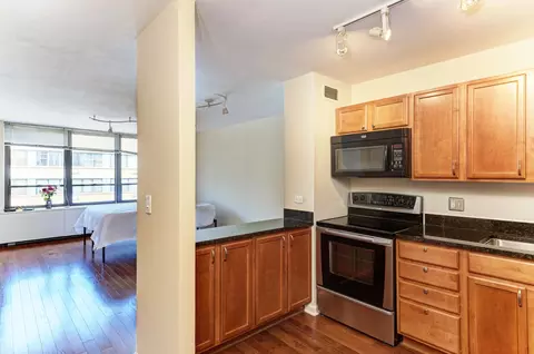 222 E Pearson St #2303, Chicago, IL 60611 photo 10
