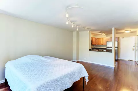 222 E Pearson St #2303, Chicago, IL 60611 photo 5