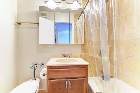 222 E Pearson St #2303, Chicago, IL 60611 photo 7
