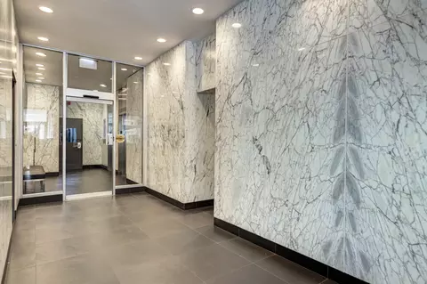 222 E Pearson St #2303, Chicago, IL 60611 photo 26
