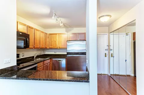 222 E Pearson St #2303, Chicago, IL 60611 photo 11