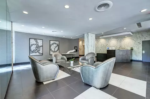222 E Pearson St #2303, Chicago, IL 60611 photo 24