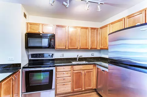 222 E Pearson St #2303, Chicago, IL 60611 photo 8