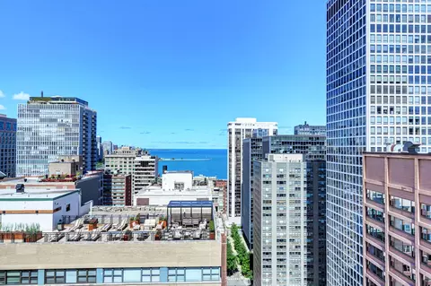 222 E Pearson St #2303, Chicago, IL 60611 photo 15