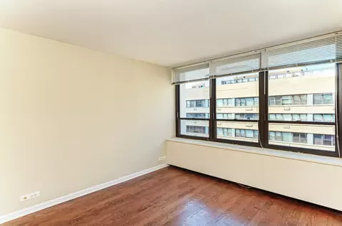 222 E Pearson St #2303, Chicago, IL 60611 photo 13