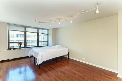 222 E Pearson St #2303, Chicago, IL 60611 photo 3