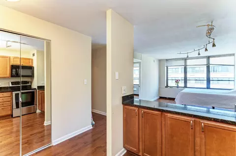 222 E Pearson St #2303, Chicago, IL 60611 photo 12