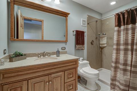 8413 Heather Ct, Burr Ridge, IL 60527 photo 16