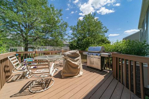 381 Monarch Birch Ct, Bartlett, IL 60103 photo 22