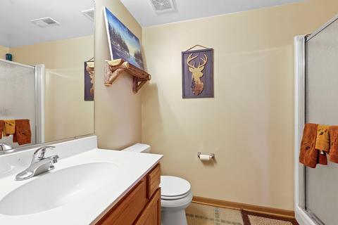25617 S Daffodil Ln, Monee, IL 60449 photo 11