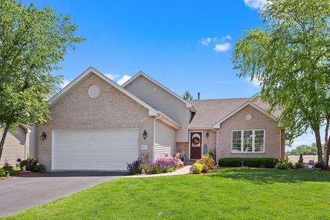 25617 S Daffodil Ln, Monee, IL 60449 photo 2