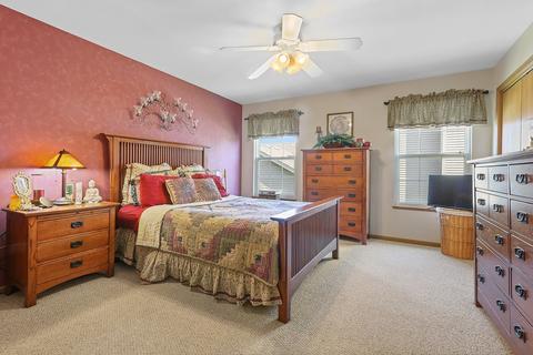 25617 S Daffodil Ln, Monee, IL 60449 photo 8