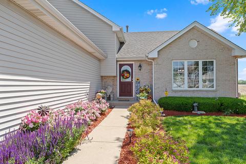 25617 S Daffodil Ln, Monee, IL 60449 photo 3