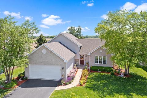 25617 S Daffodil Ln, Monee, IL 60449 photo 1