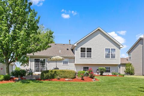 25617 S Daffodil Ln, Monee, IL 60449 photo 16